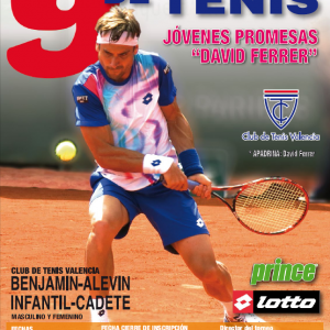 promesas_david_ferrer