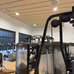 gimnasio-300x300