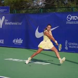 w15-villena-15-300x300